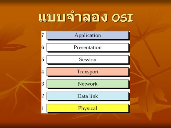 แบบจำลอง OSI